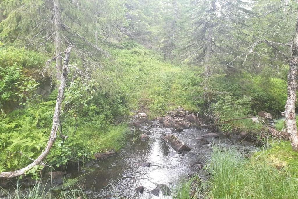 Guesthouse Hamran Mosvik Екстериор снимка